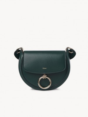 Chloe Arlène Small Crossbody Crossbody Taschen Grün | CHE-SR13463