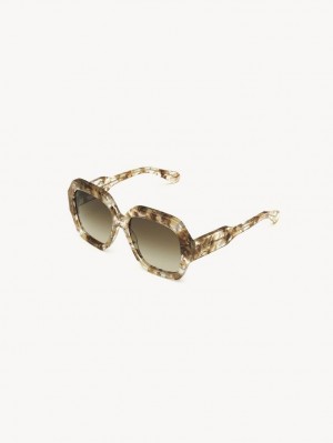 Chloe Gayia Sonnenbrille Braun | CHE-SR14575