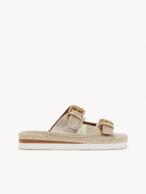 Chloe Glyn Plattform Espadrilles Sandalen Scarlatto | CHE-SR14831