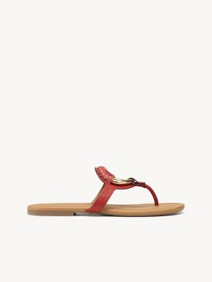 Chloe Hana Flip-flop Flache Schuhe Rot | CHE-SR14817