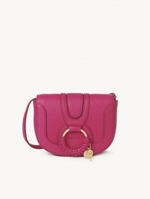 Chloe Hana Mini Taschen Rosa | CHE-SR14732