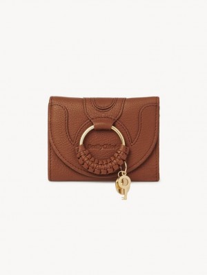 Chloe Hana Tri-fold Kleine Geldbörse Braun | CHE-SR14910