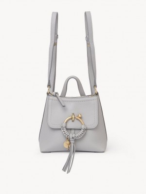 Chloe Joan Rucksäcke Grau | CHE-SR14792