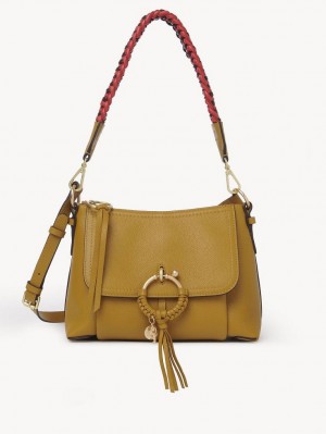 Chloe Joan Small Schultertaschen Braun | CHE-SR14648