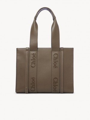 Chloe Medium Woody Tragetaschen Grün | CHE-SR13340