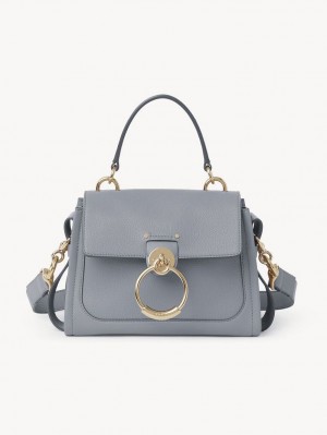 Chloe Mini Tess Day Crossbody Taschen Blau | CHE-SR13598