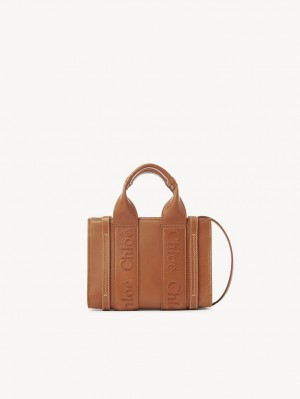 Chloe Mini Woody Crossbody Taschen Braun | CHE-SR13559