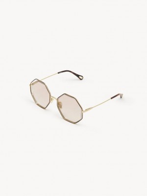 Chloe Poppy Petite Sonnenbrille Gold Beige | CHE-SR14546