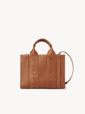 Chloe Small Woody Crossbody Taschen Braun | CHE-SR13535