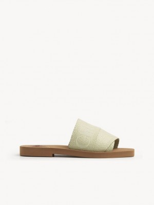 Chloe Woody Flache Mule Grün | CHE-SR14181