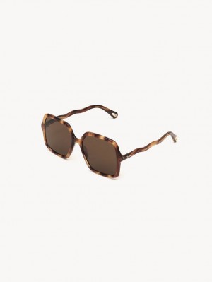 Chloe Zelie Sonnenbrille Braun | CHE-SR14515