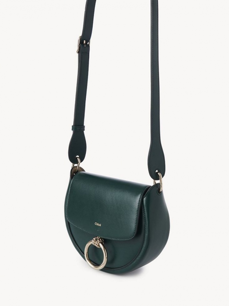 Chloe Arlène Small Crossbody Crossbody Taschen Grün | CHE-SR13463