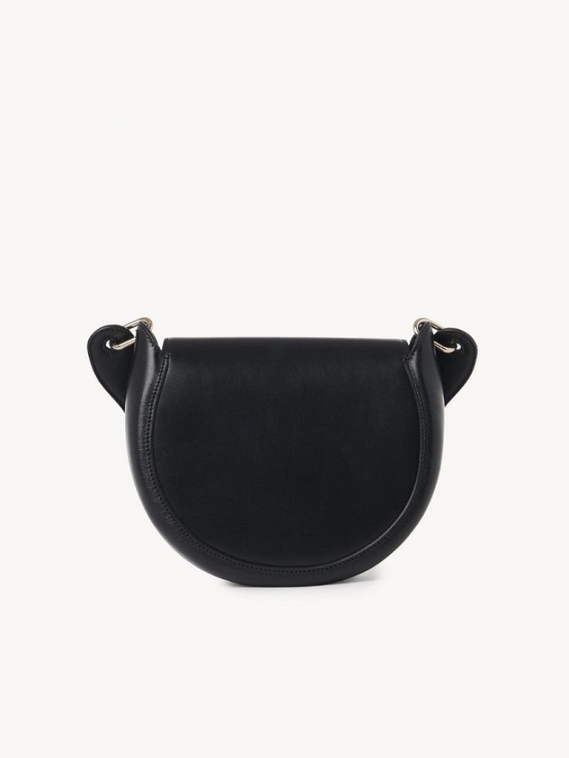 Chloe Arlène Small Crossbody Taschen Schwarz | CHE-SR13611