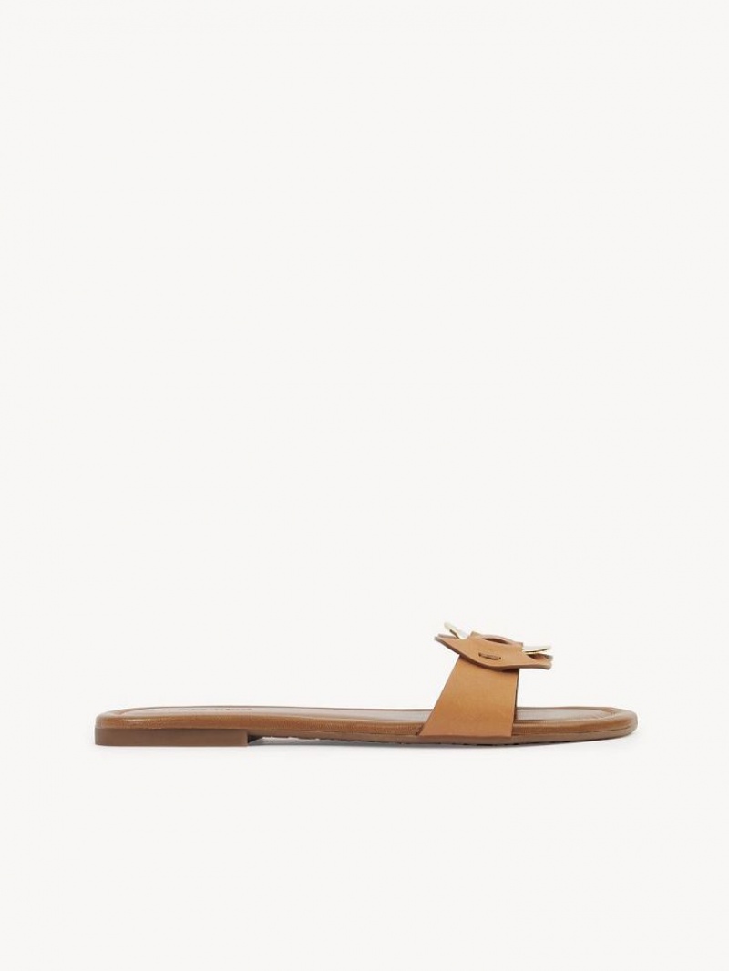 Chloe Chany Mule Flache Schuhe Braun | CHE-SR14837