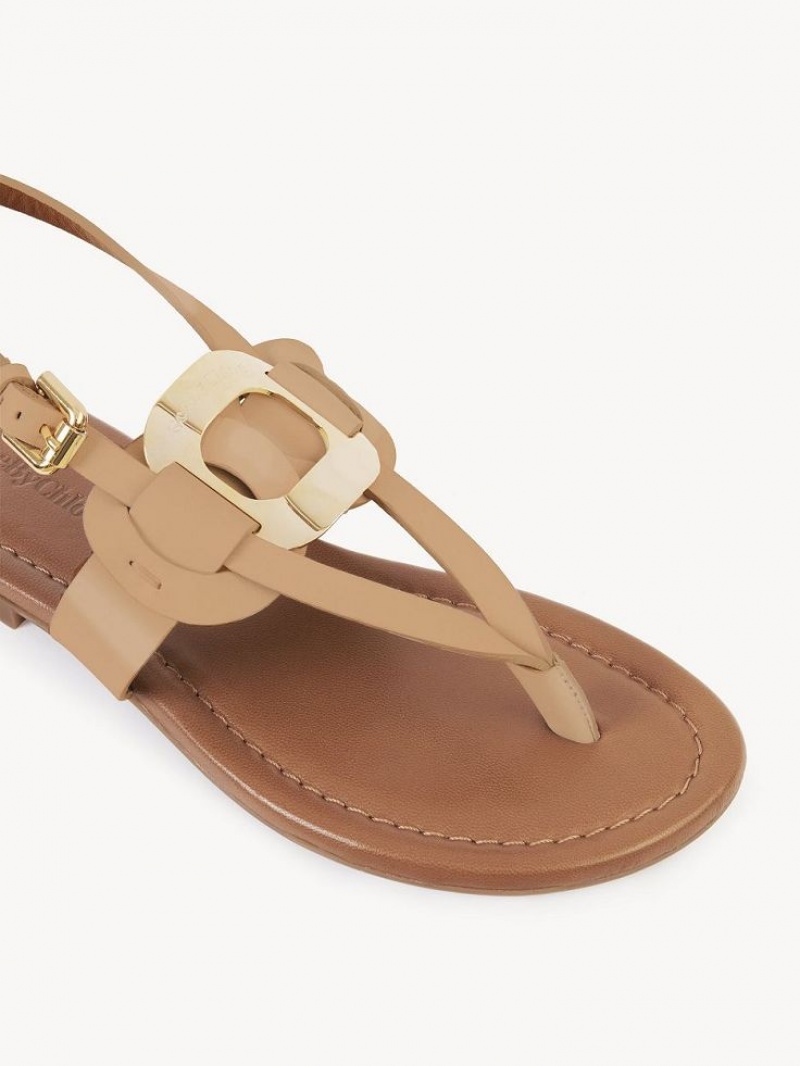 Chloe Chany Sandalen Braun | CHE-SR14824