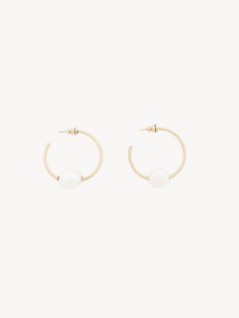 Chloe Darcey Hoop Ohrringe Gold Weiß | CHE-SR14441