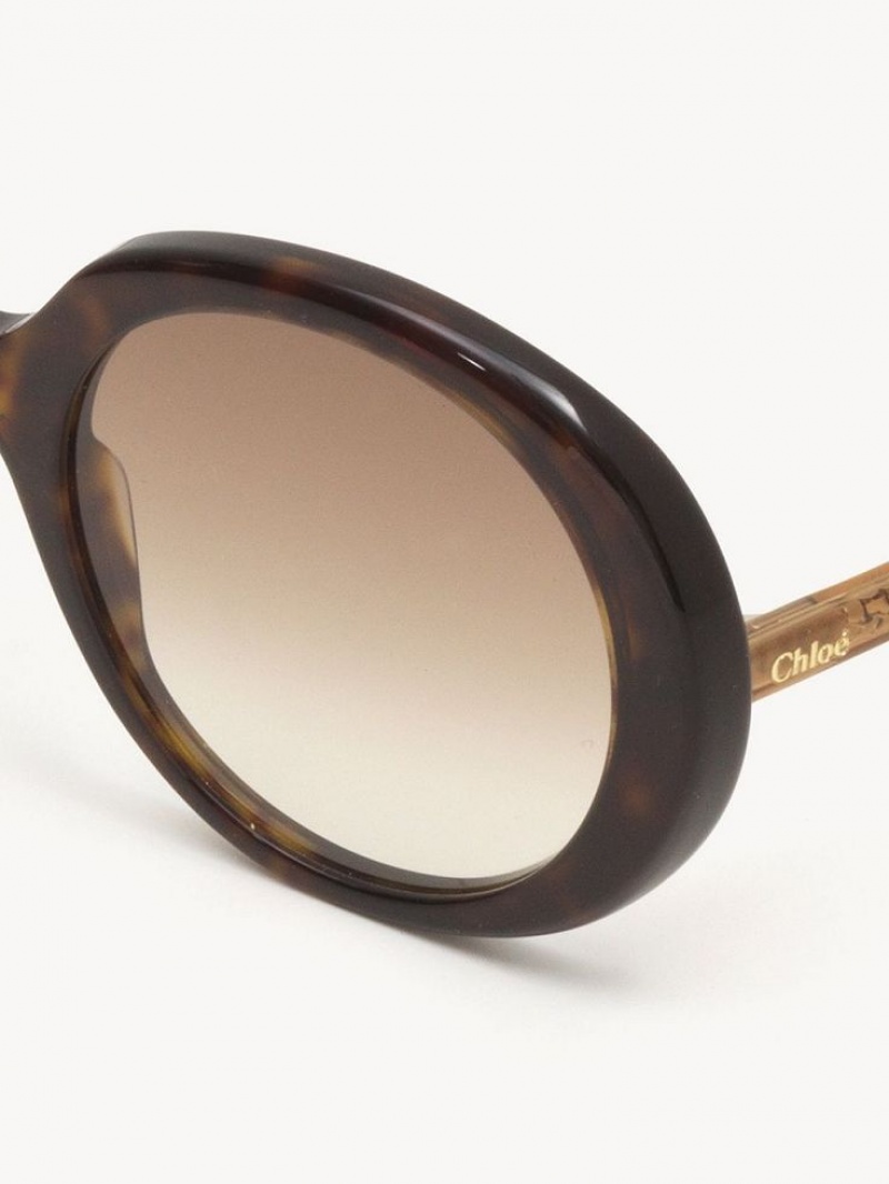 Chloe Esther Sonnenbrille Braun | CHE-SR14529