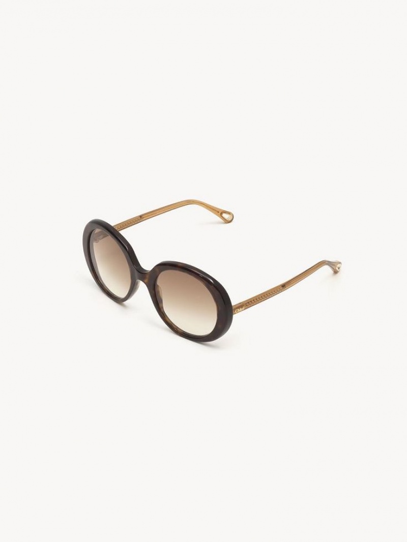 Chloe Esther Sonnenbrille Braun | CHE-SR14529