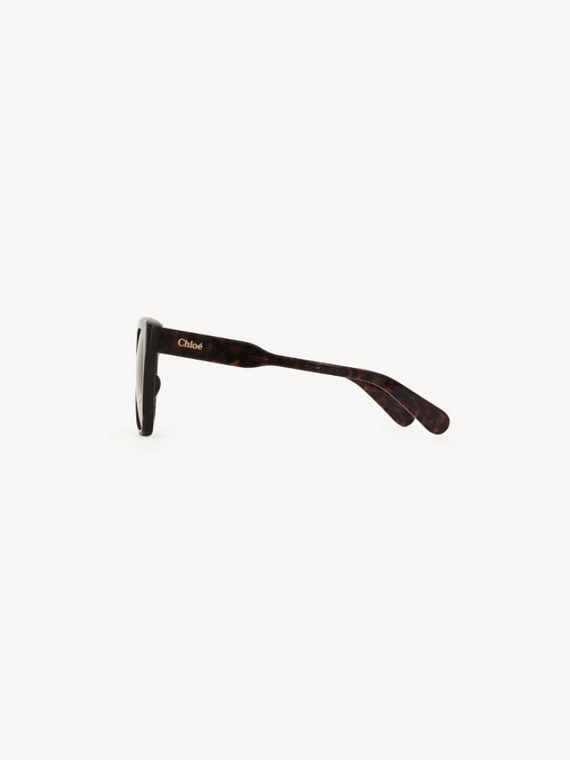 Chloe Gayia Sonnenbrille Schwarz | CHE-SR14571