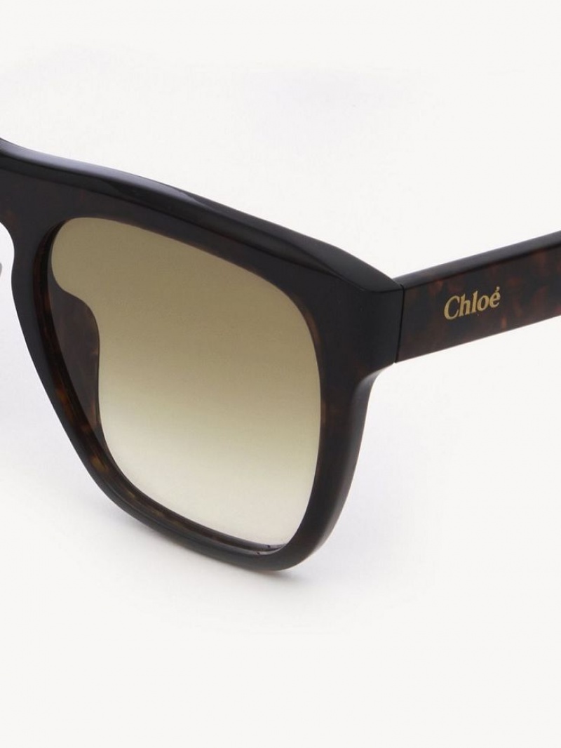 Chloe Gayia Sonnenbrille Schwarz | CHE-SR14571