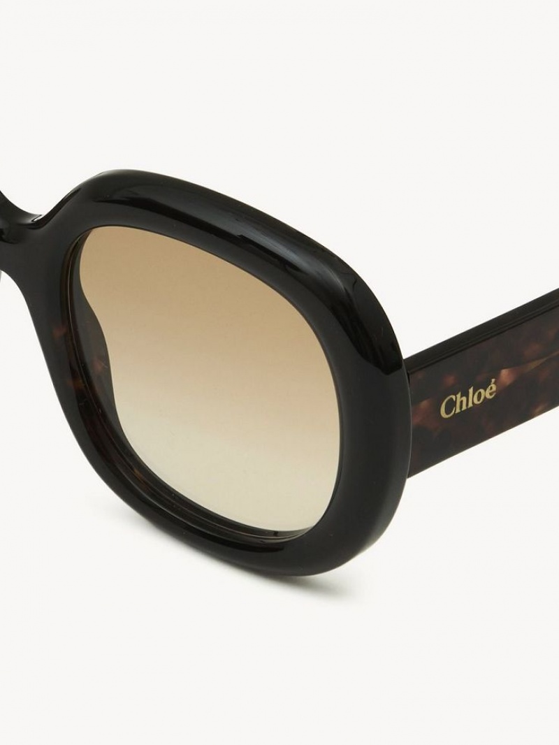 Chloe Gayia Sonnenbrille Schwarz | CHE-SR14574