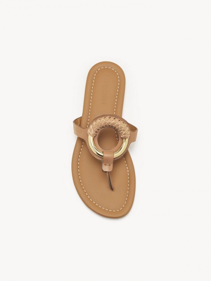 Chloe Hana Flip-flop Flache Schuhe Braun | CHE-SR14818