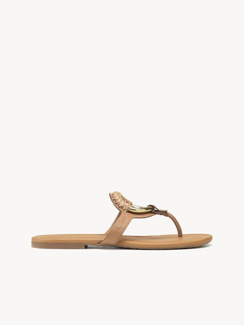 Chloe Hana Flip-flop Flache Schuhe Braun | CHE-SR14818