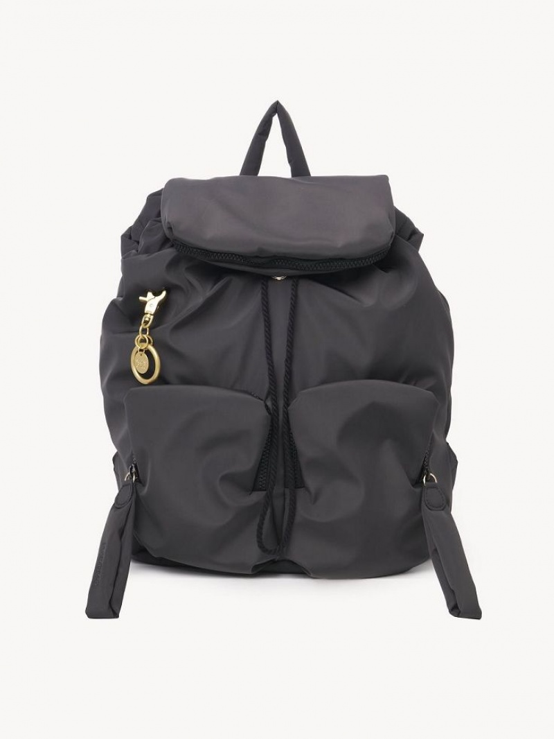 Chloe Joy Rider Rucksäcke Grau | CHE-SR14794