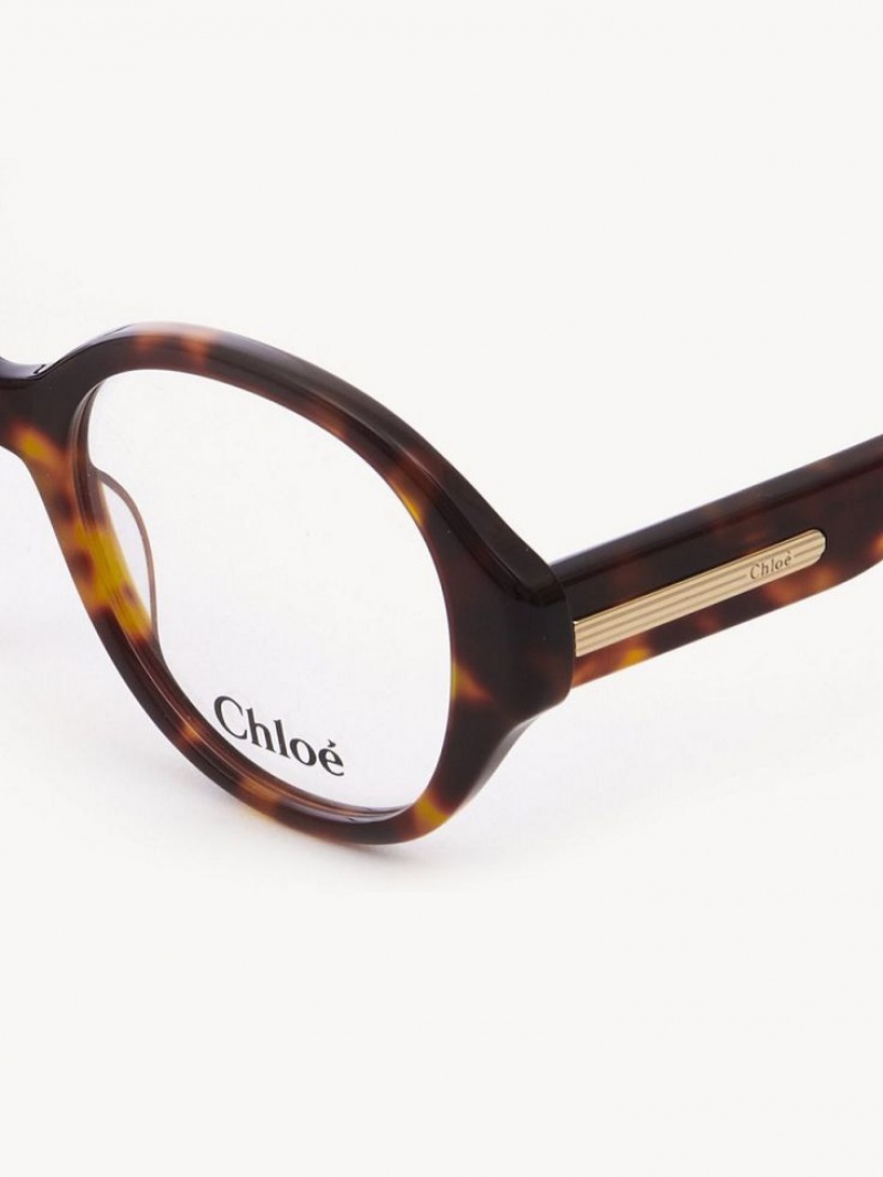 Chloe Mirtha Brille Havana | CHE-SR14583