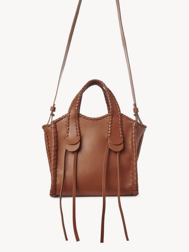 Chloe Small Mony Crossbody Taschen Braun | CHE-SR13467