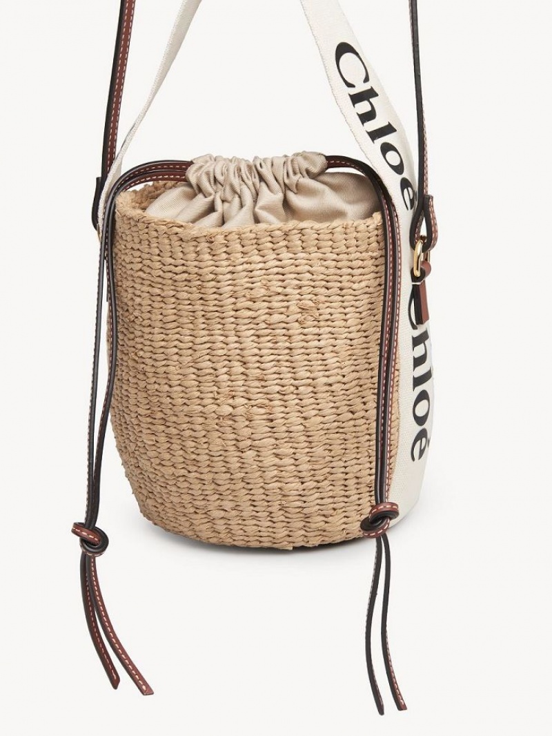 Chloe Small Woody Basket Crossbody Taschen Weiß | CHE-SR13609