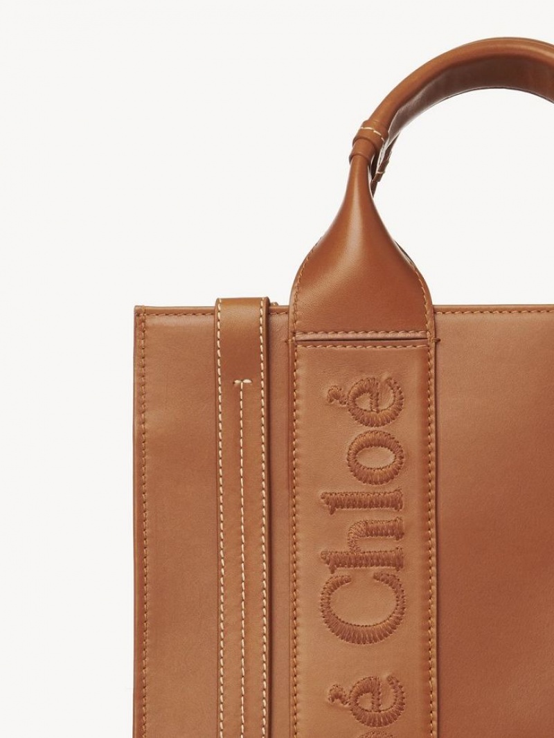 Chloe Small Woody Crossbody Taschen Braun | CHE-SR13535