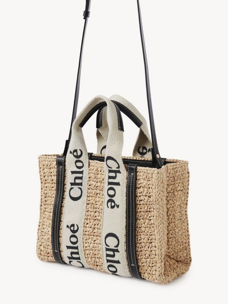 Chloe Small Woody Crossbody Taschen Braun | CHE-SR13625