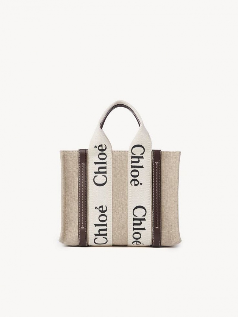 Chloe Small Woody Crossbody Taschen Tiefes | CHE-SR13626