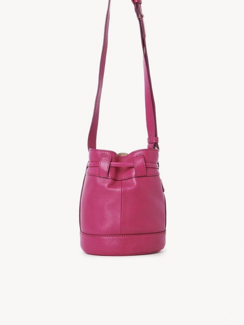 Chloe Vicki Small Bucket Mini Taschen Rosa | CHE-SR14746