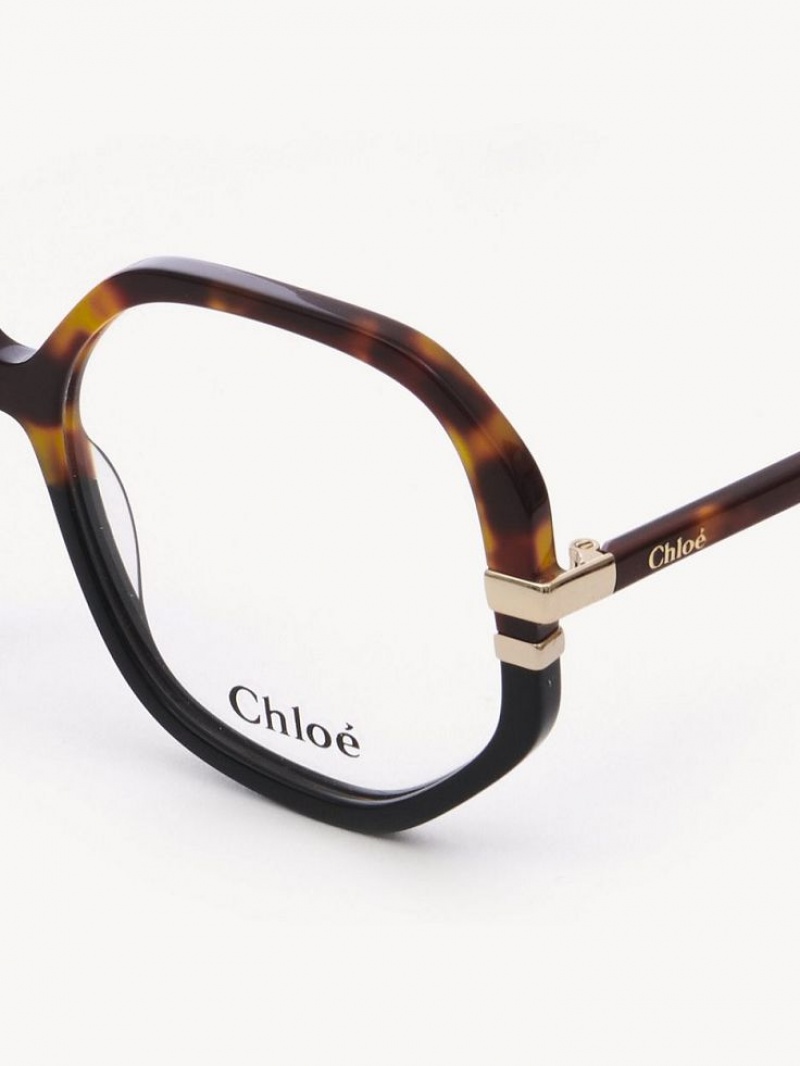 Chloe West Brille Havana | CHE-SR14584