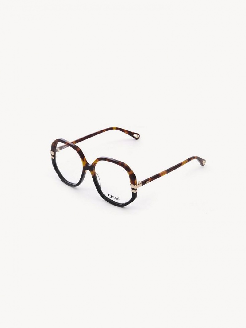 Chloe West Brille Havana | CHE-SR14584