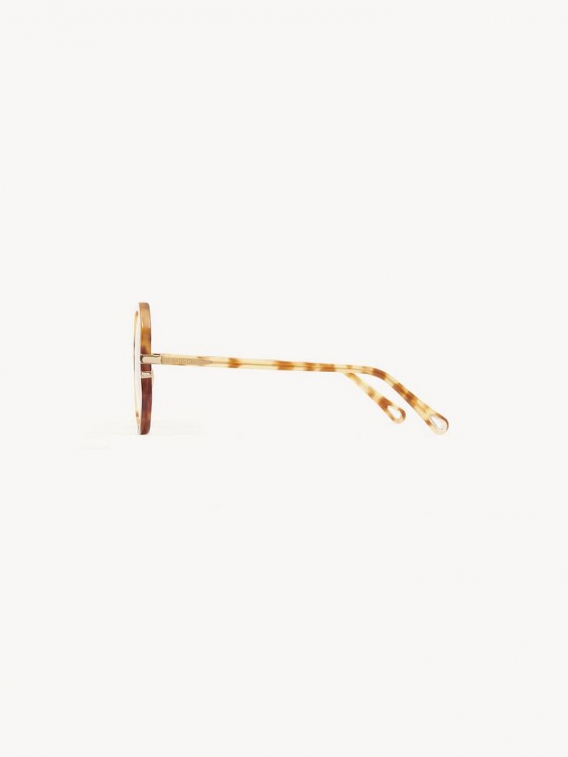 Chloe West Sonnenbrille Havana Patchwork | CHE-SR14547