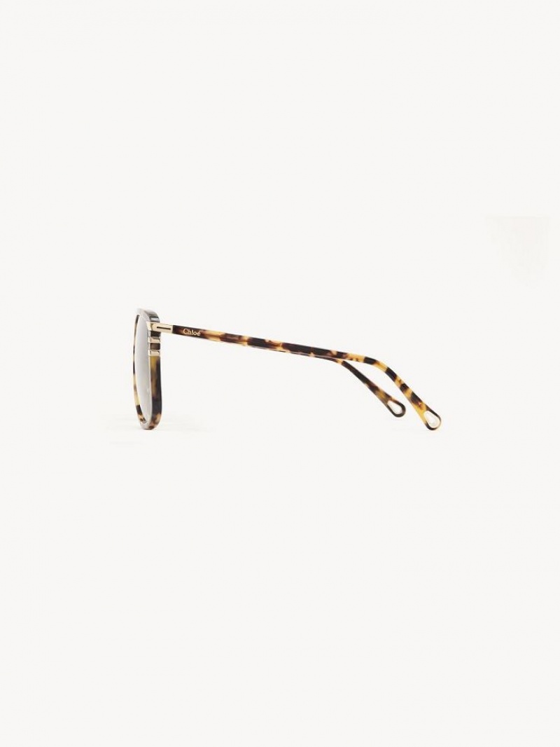 Chloe West Sonnenbrille Havana | CHE-SR14565