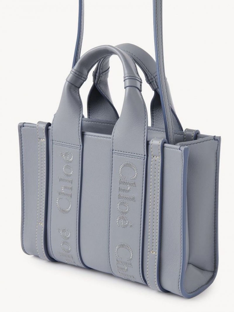 Chloe Woody Tote 1 Mini Taschen Blau | CHE-SR13729