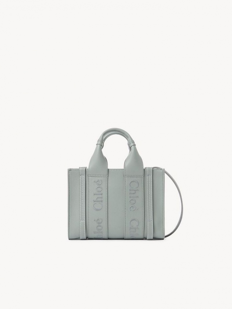 Chloe Woody Tote 1 Mini Taschen Grün | CHE-SR13697